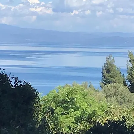 Wild Oaks * 크리오피지