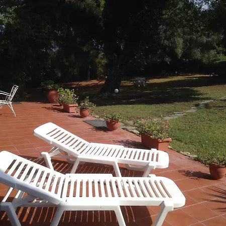 Wild Oaks 크리오피지