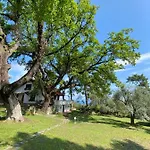Wild Oaks *