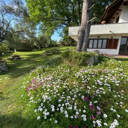 Wild Oaks Holiday home *