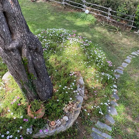 Wild Oaks * Κρυοπηγή