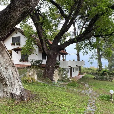 Wild Oaks * Κρυοπηγή