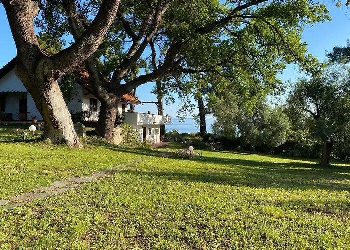 Hébergement de vacances Wild Oaks
