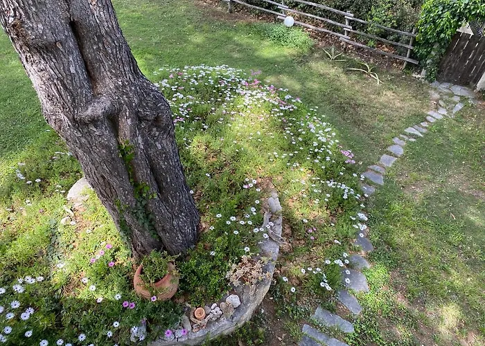 Wild Oaks * Kriopigi