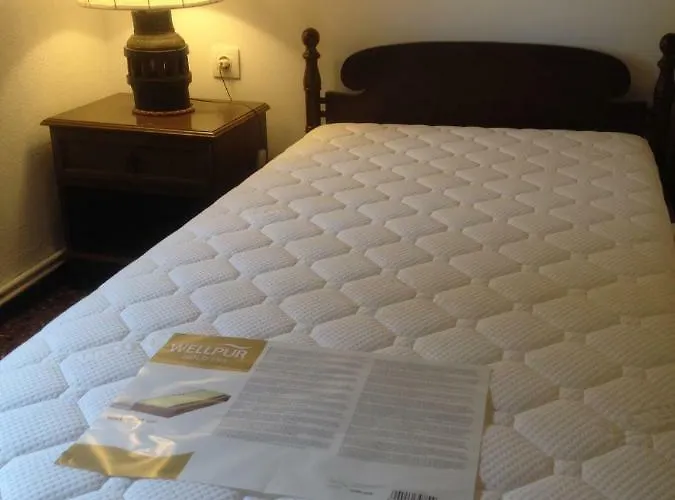 Wild Oaks Hébergement de vacances